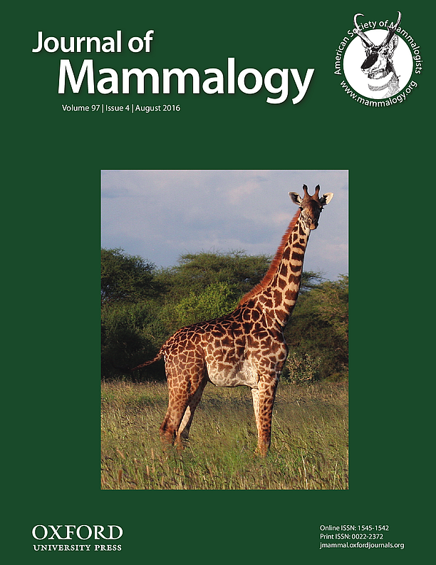 Journal of Mammalogy cover image of Masai giraffe.