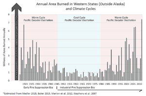 Over long historical timelines, the amounts of forested acres burned, and high-severity burned acres each year, are still within the natural range of variation for the past century, and far below the normal tens of millions of acres burned before the 20th century. Credit: Chad Hanson