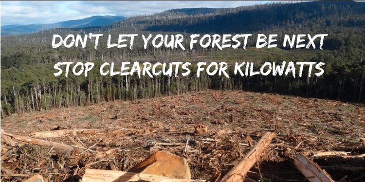 Biomass energy from forests is a delusion. Don't let your forest be next. Stop clearcuts for kilowatts.