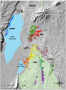 map of giraffe social communities